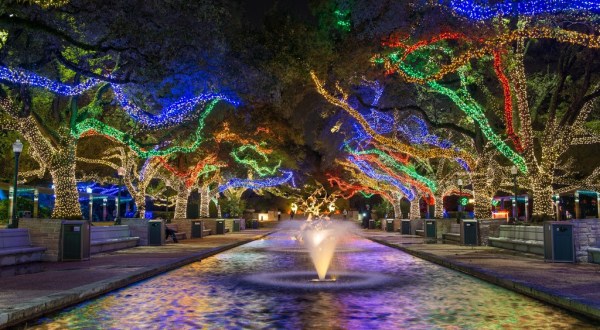 Texas’ Beloved Zoo Lights Is Back And Better Than Ever This Holiday Season
