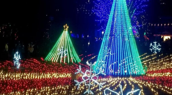 Zoolights Is Back During The Most Wonderful Time Of The Year At Lincoln Park Zoo In Illinois
