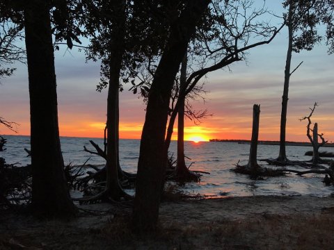 Explore A Maritime Forest, An Abandoned Cemetery, And A Secluded Beach On This North Carolina Hike