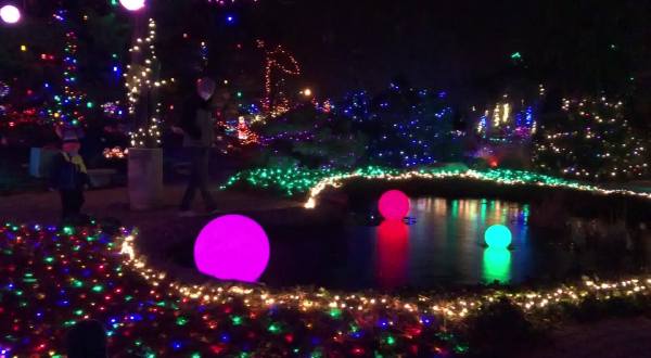 The Winter Nights Winter Lights In Illinois Is A Magical Wintertime Fairyland Experience