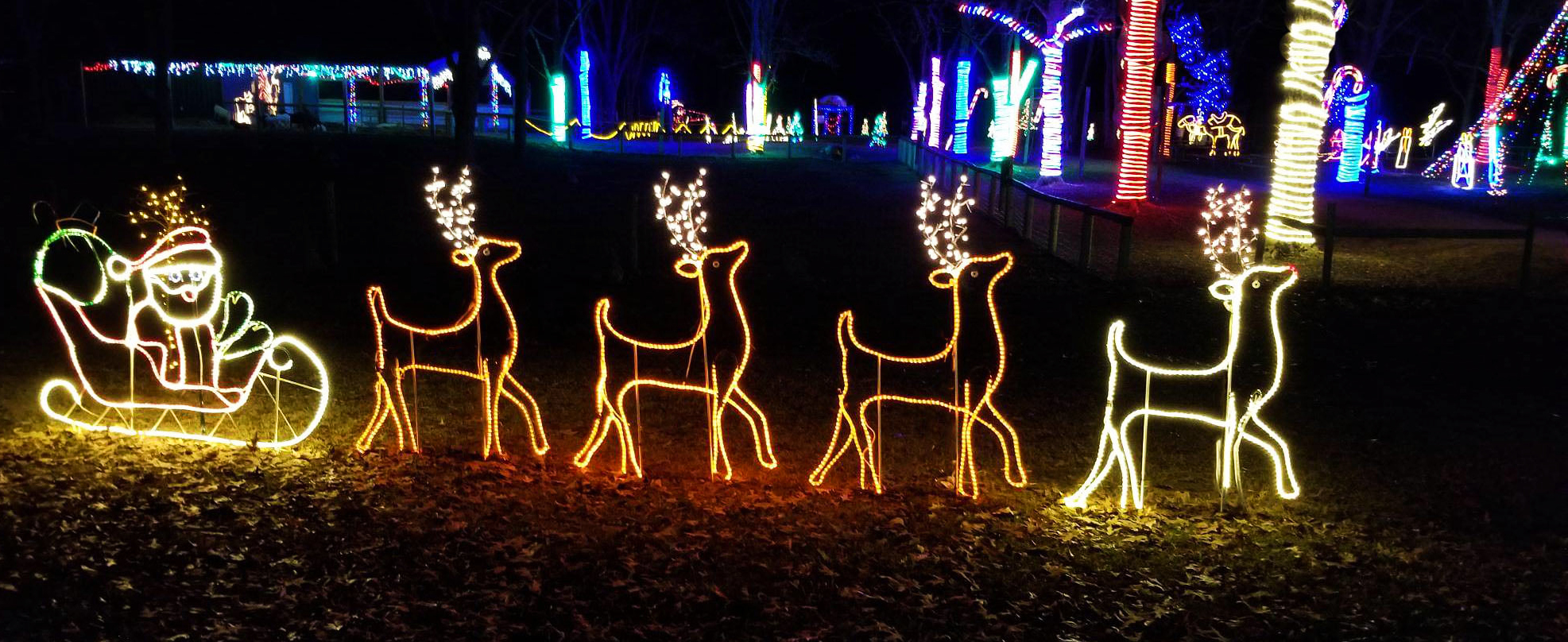 Safari Lights: A Drive-Thru Christmas Lights Display In Alabama