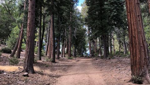 The Enchanting Thunder Spring Trail Tucked Inside This One Southern California Park That Will Leave You Feeling Accomplished