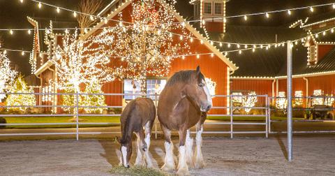 Drive Through Thousands Of Holiday Lights At Warm Springs Ranch In Missouri