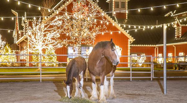 Drive Through Thousands Of Holiday Lights At Warm Springs Ranch In Missouri