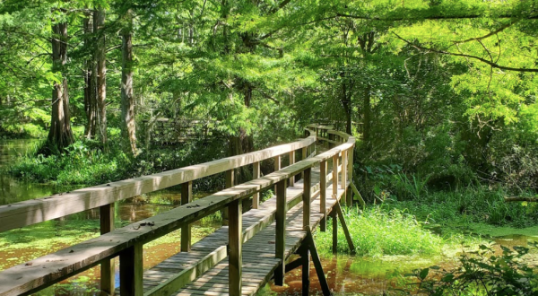 The Whole Family Will Love The Maze Of Trails At The Northlake Nature Center