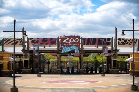 This Ohio Zoo Is Offering Half Price Admission Until March 2021