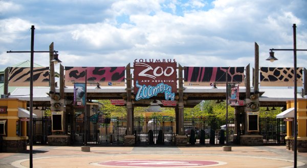 This Ohio Zoo Is Offering Half Price Admission Until March 2021