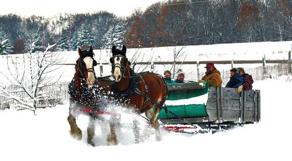 Take a Charming Ride Through Wintry Woods With A Sleigh Ride At Roselawn Stables In Minnesota