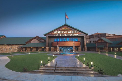 You Can Swim With Sharks At Wonders Of Wildlife In Missouri