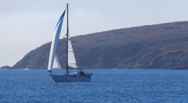 Take A 3-Hour Sailing Tour Of Bodega Bay In Northern California For A Fun-Filled Day On The Water