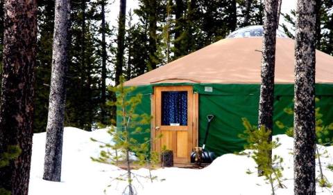Wake Up Amid Snow-Covered Pine Trees When You Stay At A Yurt In Idaho's Harriman State Park