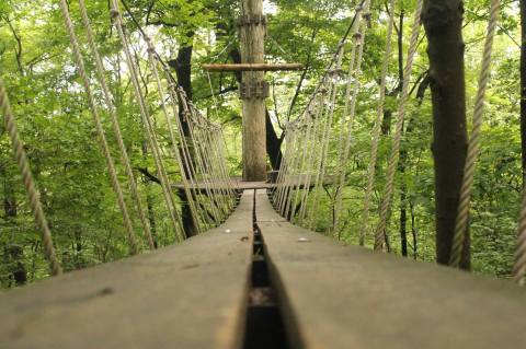Take A Ride On The Longest Zipline In Ohio At Tree Frog Canopy Tours
