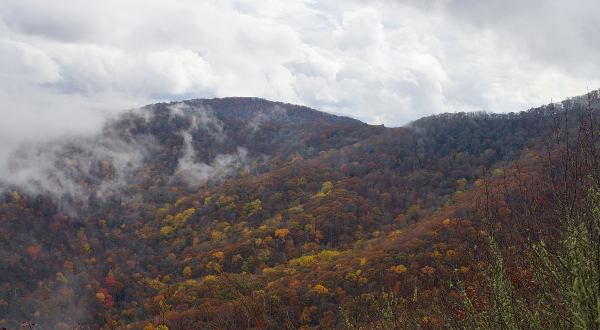 Warriors’ Path State Park Is The Perfect Place For Any Outdoor Enthusiasts In Tennessee
