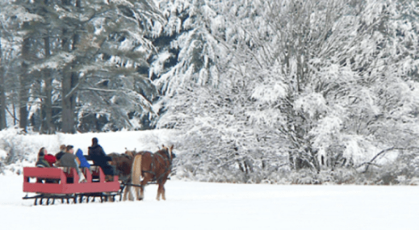 Take a Charming Ride Through Wintry Woods With A Sleigh Ride At Rockin’ Horse Stables In Maine