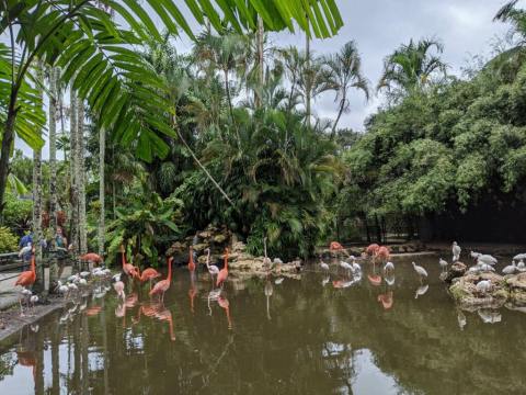 The 60-Acre Tropical Botanical Garden, Flamingo Gardens In Florida, Is Simply Heaven On Earth