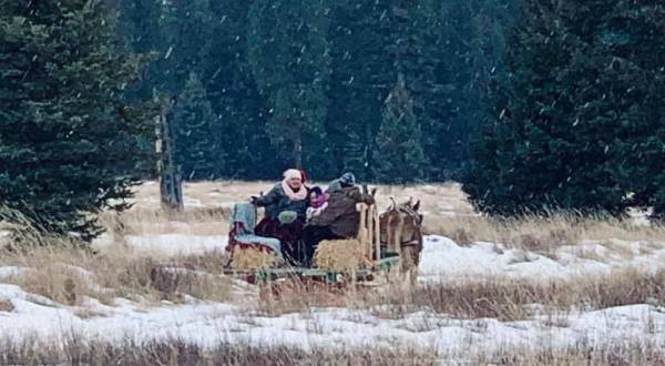 Take A Sleigh Ride And Stay At An Idyllic Winter Lodge With Klazy3 Sleigh Rides In Montana