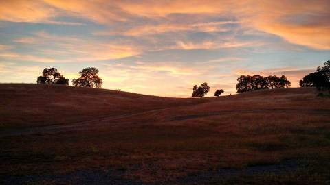 Spend The Day Hiking At Deer Creek Hills Preserve, A Working Cattle Ranch In Northern California