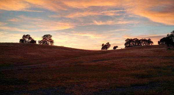 Spend The Day Hiking At Deer Creek Hills Preserve, A Working Cattle Ranch In Northern California