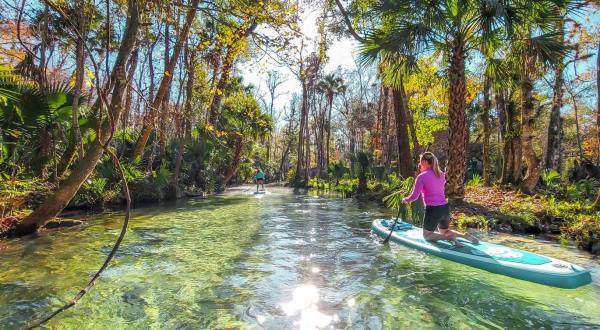 Spend Your Days Exploring Tranquil Waterways With Otter Paddle Orlando In Florida