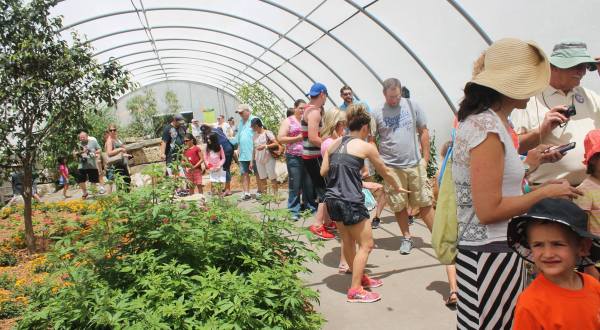 Spend A Magical Afternoon At Kansas’s Largest Butterfly House At Wichita Botanica Gardens