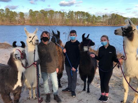 Hike With Llamas At Second Wind Farm In New Jersey