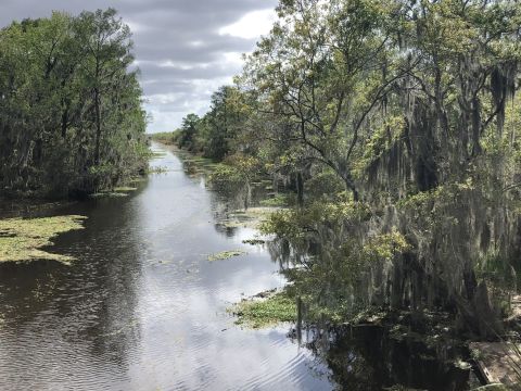 You Can See For Miles At The End Of The Bayou Coquille Trail In Louisiana