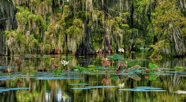 Here Are The 8 Most Peaceful Places To Go In Louisiana When You Need A Break From It All