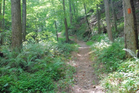 Hunt For Fairy Stones On The Beautiful And Easy Staurolite Hunt Site Trail In Virginia