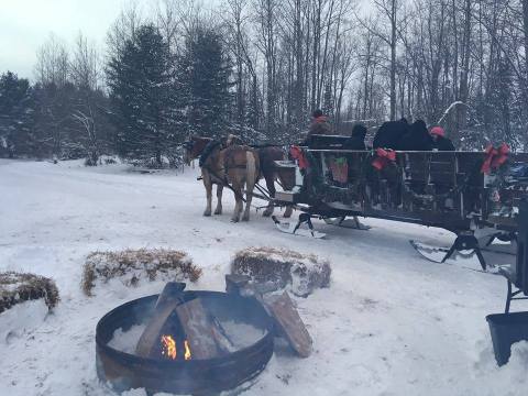 Take a Charming Ride Through Wintry Woods With A Sleigh Ride At Treetops Resort In Michigan