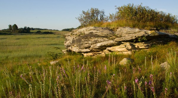 Nachusa Grasslands In Illinois Has 3,800 Acres Of Prairie, Woodlands, And Wetlands For Outdoor Enthusiasts