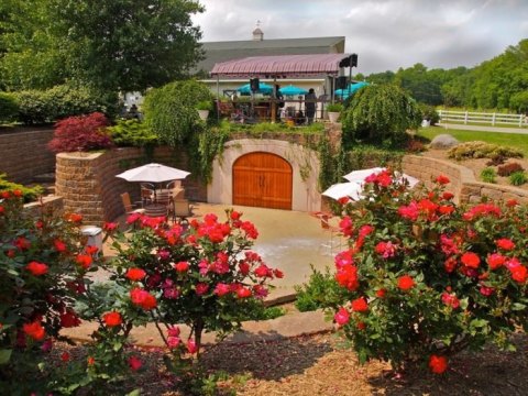 Harmony Hills Vineyards Has An Underground Wine Cave That Will Be Your New Favorite Attraction In Ohio