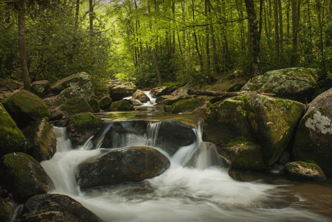 Explore A True Hidden Gem In South Carolina At Jones Gap State Park