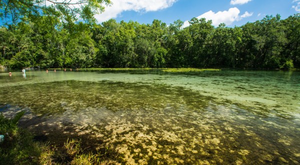With Over 70 Million Gallons Of Water Produced Daily, Alexander Springs In Florida Is An Underrated Gem
