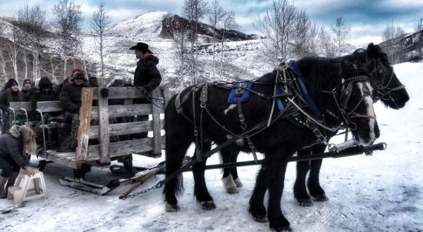 Take a Charming Ride Through Wintry Woods With A Sleigh Ride At Mill Iron Ranch In Wyoming