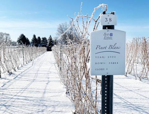 Spiked Hot Cider Awaits When You Explore The Winter Trail At Brys Estate Vineyard In Michigan