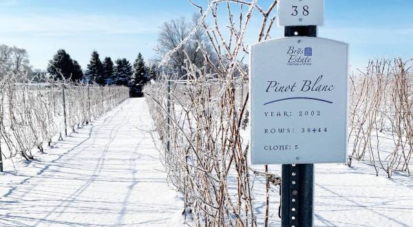 Spiked Hot Cider Awaits When You Explore The Winter Trail At Brys Estate Vineyard In Michigan