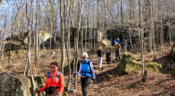 7 Of The Best Places In Alabama To Embark On A Winter Hike