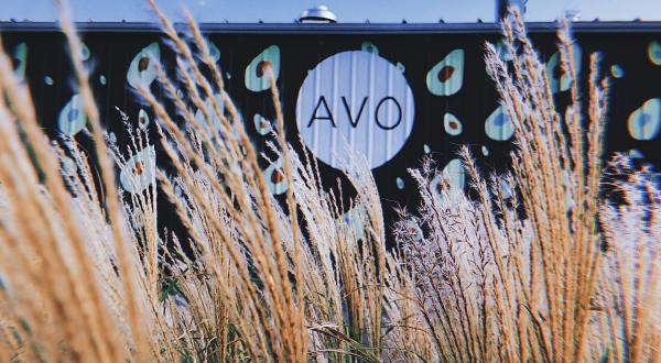 Start The New Year Off Right With A Healthy Meal From Avo, A Health Food Restaurant In Nashville