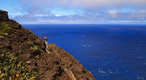 The Makapu’u Lighthouse Trail Might Just Be The Best Place To See Humpback Whales In Hawaii