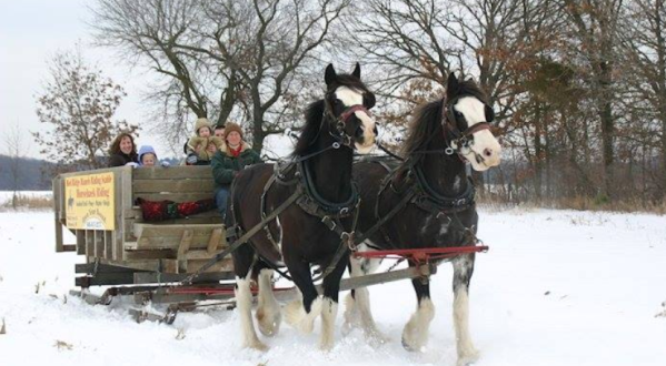 Take a Charming Ride Through Wintry Woods With A Sleigh Ride At Red Ridge Ranch In Wisconsin