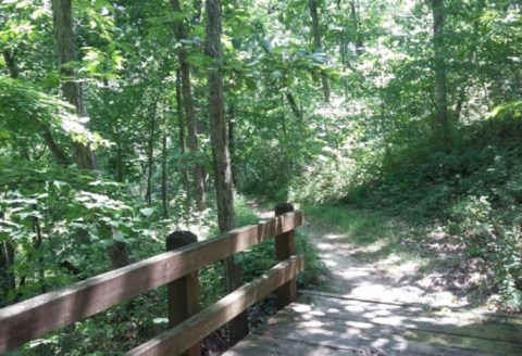 The One-Of-A-Kind Trail In Missouri With Footbridges And Wildflowers Is Quite The Hike