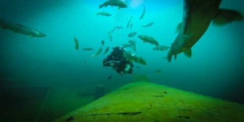 Gilboa Quarry Is A Scuba Park Hiding In Ohio That's Perfect For Your Next Adventure