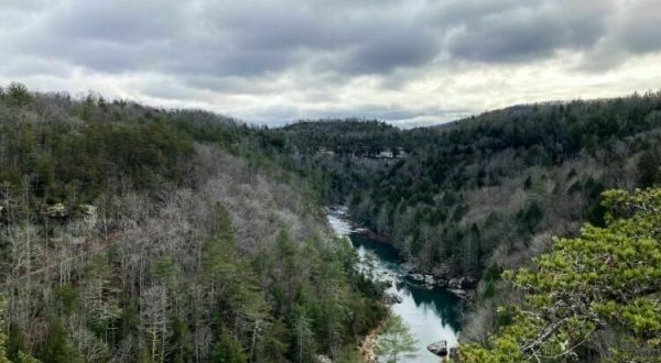The Obed River Point Trail Offers Some Of The Most Secluded And Picturesque Views In Tennessee