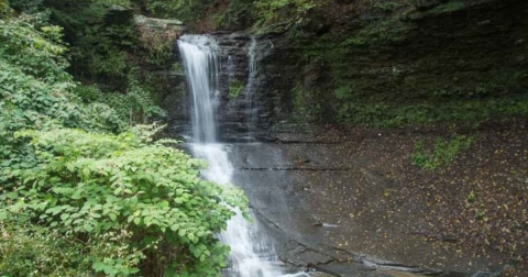 Fall Run Trail In Pennsylvania Is A 1.4-Mile Out-And-Back Hike With A Waterfall Finish