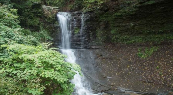 Fall Run Trail In Pennsylvania Is A 1.4-Mile Out-And-Back Hike With A Waterfall Finish