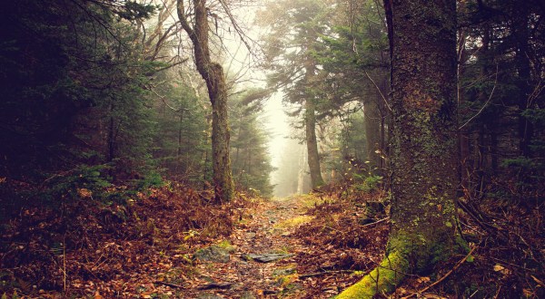 The Haystack Mountain Trail Will Show You A Completely New Side Of Vermont