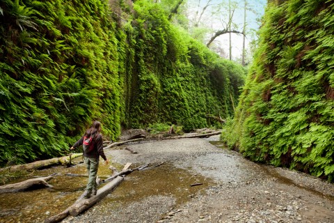 Fern Canyon In Northern California Was Named One Of The Most Stunning Lesser-Known Places In The U.S.
