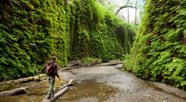 Fern Canyon In Northern California Was Named One Of The Most Stunning Lesser-Known Places In The U.S.