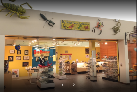 The Harrell House Bug Museum In New Mexico Just Might Be The Strangest Tourist Trap Yet