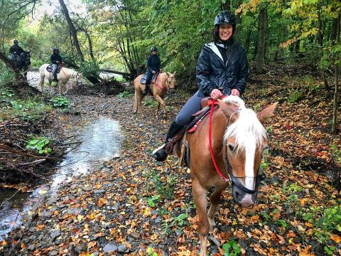 Visit Waterfalls On Horseback On This Unique Tour In New York